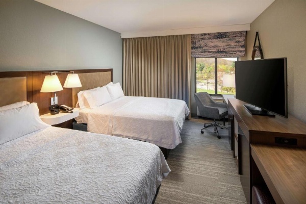 Hampton Inn By Hilton & Suites Binghamton/Vestal image 15