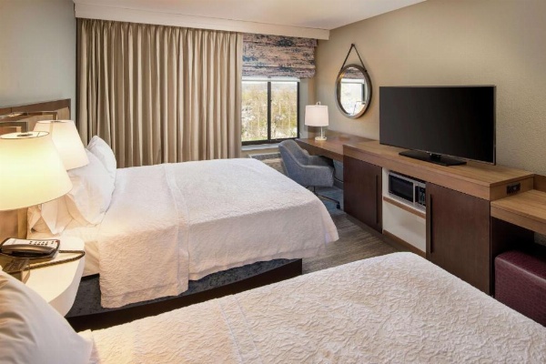 Hampton Inn By Hilton & Suites Binghamton/Vestal image 24