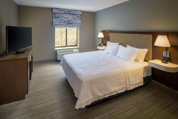 Hampton Inn By Hilton & Suites Binghamton/Vestal image 27