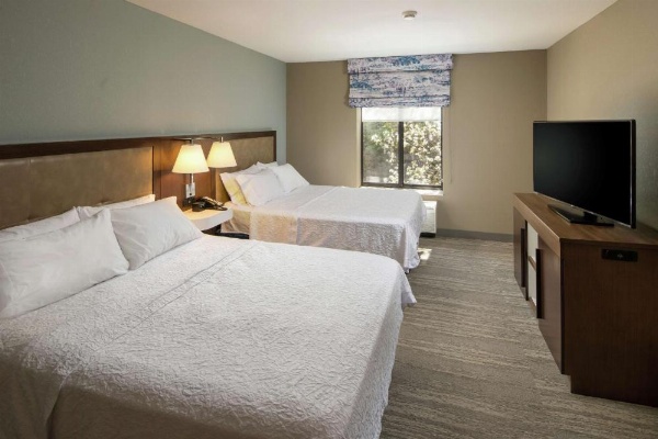 Hampton Inn By Hilton & Suites Binghamton/Vestal image 30